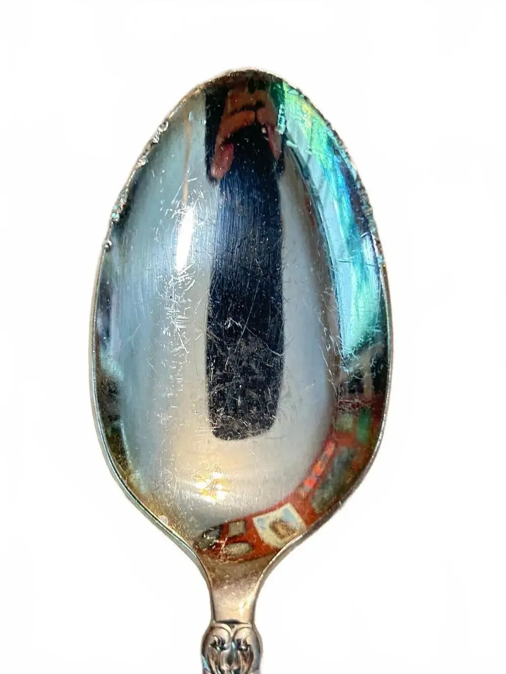 1847 Rogers Bros King Frederik Silverplate Soup Spoons, Set of 2